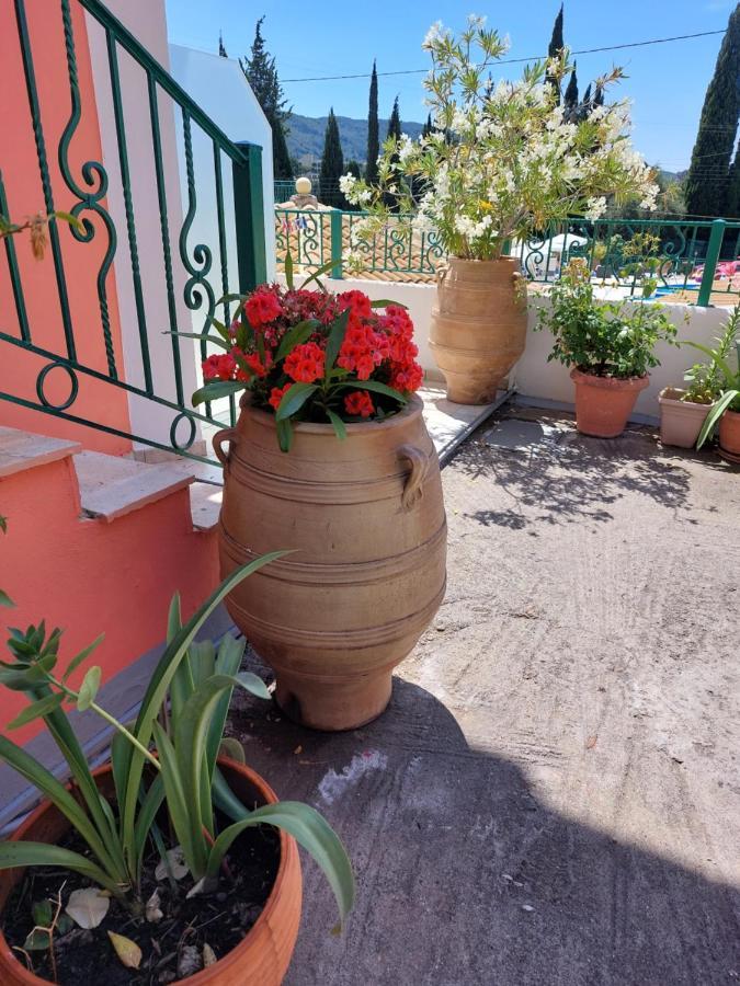 Maria Studios Paleokastritsa Exterior photo